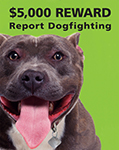 Report Dogfighting $5000 Reward